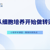 从细胞培养开始做转染