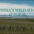 生态纪录片《精彩中国》全5集 【中英双字】 1080P超清