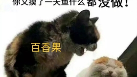 4012ec58bfd1e7b1ce919cffbe05c74897164956.jpg@280w_158h_1c_100q.jpg