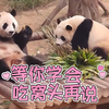 被爱宝笑死啦！她好像知道辉宝不喜欢吃窝窝头