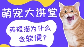 4031e1122e541d350a665805b0f42b9a8b1d40ac.jpg@280w_158h_1c_100q.jpg