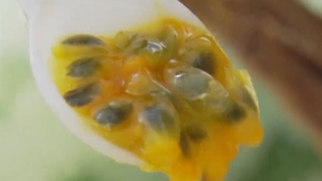 广西钦州“钦果9号”维权胜诉，漳州某公司宣称该品种系由其培育，企图窃取他人的科研成果