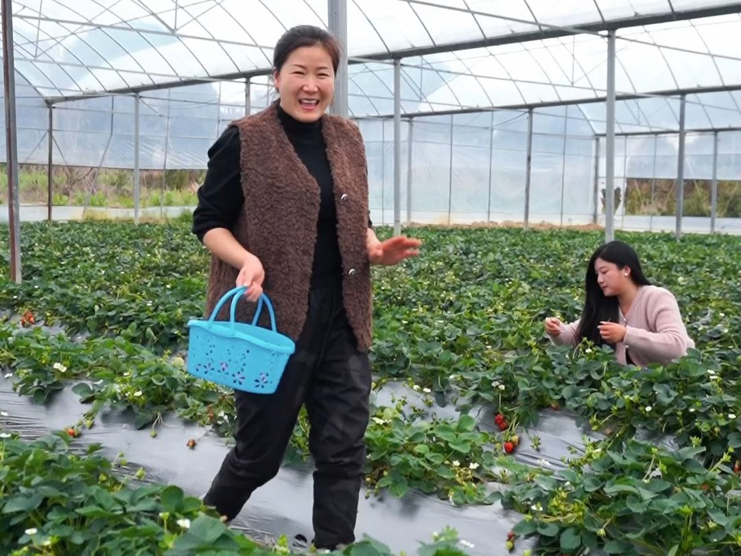 今天带孩子们来体验一下摘草莓的快乐，再用摘来的草莓做几道甜品，可过瘾了