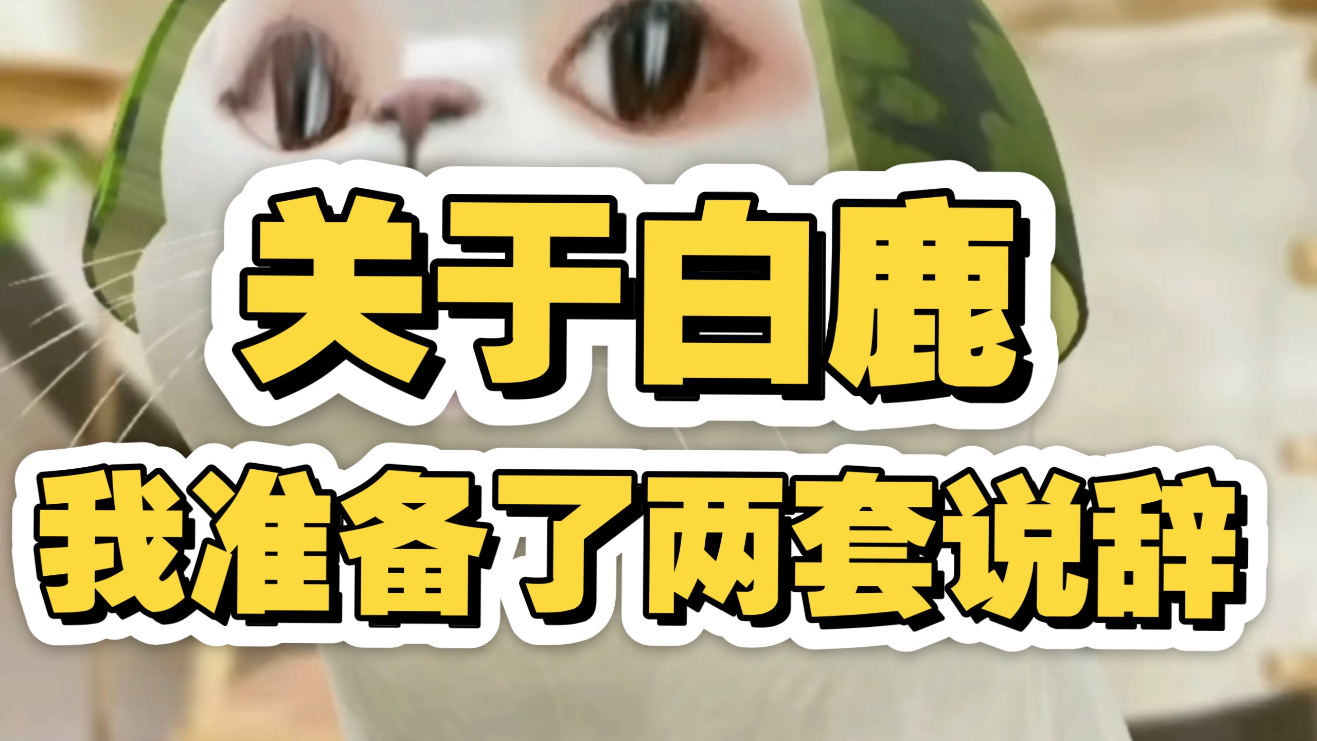 关于白鹿...我准备了两套说辞！