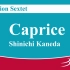打击乐六重奏 随想曲 金田真一 Caprice - Percussion Sextet by Shin-ichi Kan