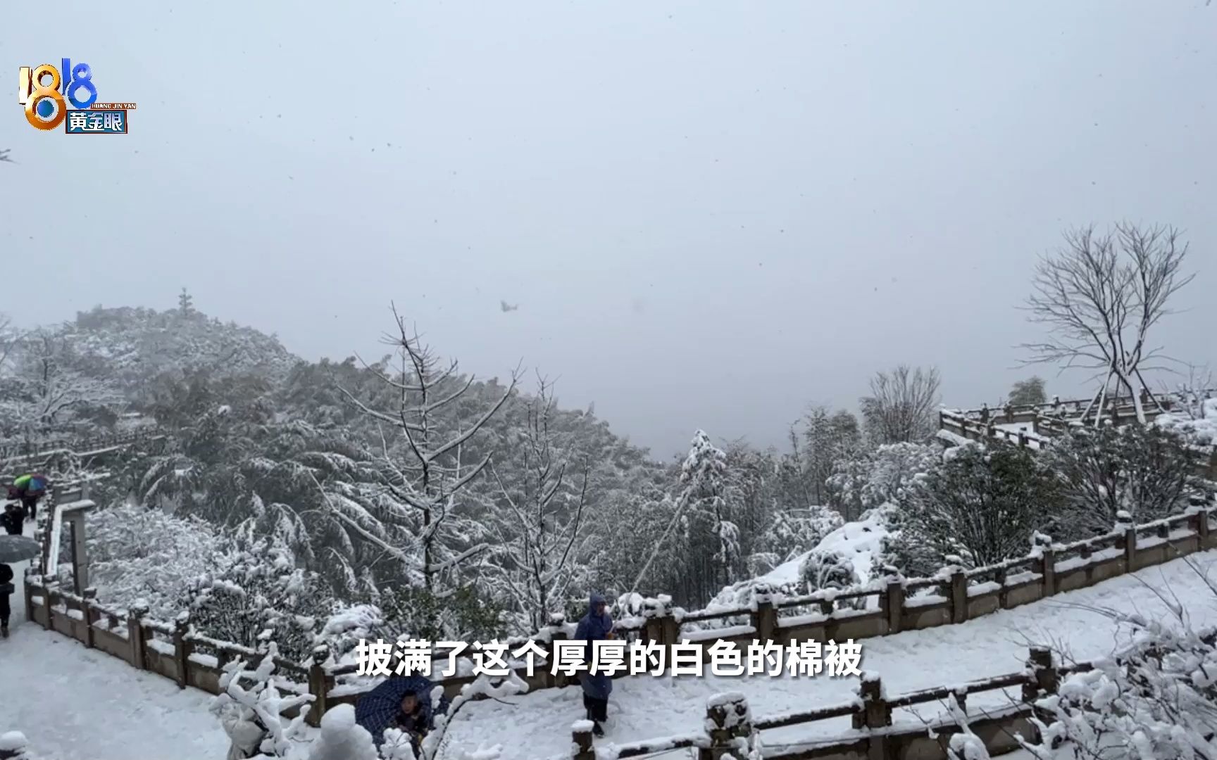 【1818黄金眼】杭州径山漫天白雪 绿树压白雪