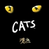 音乐剧 Cats 猫 2013年 韩国校园版演出