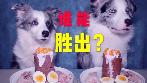 舔狗的技能 40a1604ed538a384965158ae5e2e23c3a7e12516.jpg@480w_270h_1c