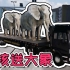 巨硬核送货游戏，街头送大象？来看这中国城市还原的怎么样？