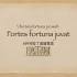 《万物有灵》第一季第三集中的“fortes fortuna juvat”（勇者得助）