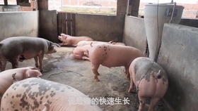 412c41f36cf21fb5c068af30faac42531f5039a5.jpg@280w_158h_1c_100q.jpg