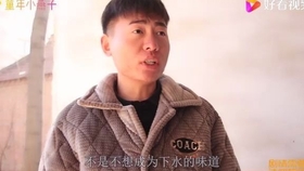 小秋来信，短剧免费观看的快乐时光，小秋来信，短剧免费观看的快乐时光