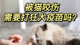 413b75d87077ae8822b7828f9c176a02a447ba2c.jpg@280w_158h_1c_100q.jpg