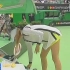 2005年澳网女单半决赛 莎拉波娃-小威廉姆斯 广东体育台