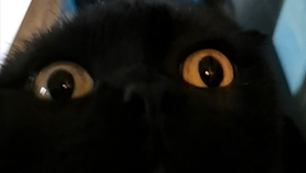 416148296bc6c0ffce825664b2fdf3631c846c4e.jpg@280w_158h_1c_100q.jpg
