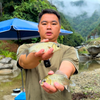 在小水塘抽水捉鱼，第一次捉到土鲫鱼，味道相当鲜美