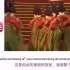 《唐宫夜宴》对老外们的巨大魔力，国外网友：中国传统文化很上瘾