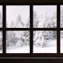 【窗景】针叶林雪景×学习助眠白噪音 | 氛围营造 | 投影适用