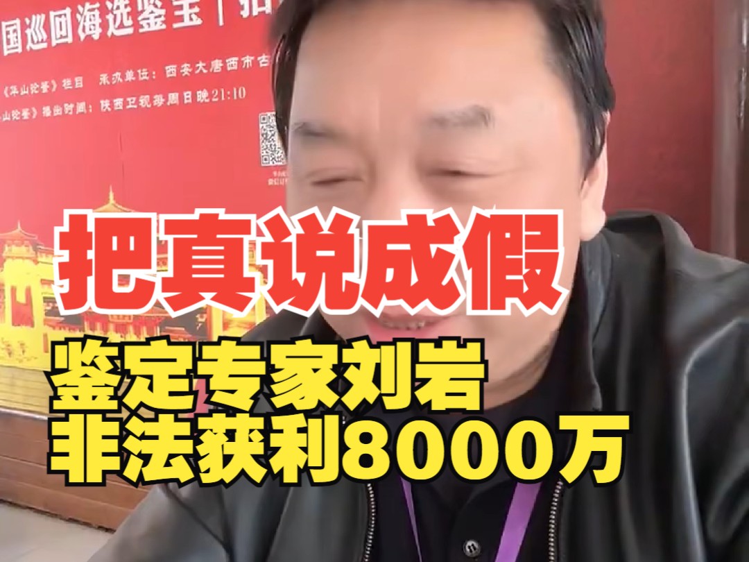 蔡一阳讲述鉴定专家刘岩非法获利8000万案（国宝帮必备）