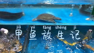 41aa9a3b0b1ee871e99b723e319edd1fff6d7a23.jpg@310w_174h_1c_100q.jpg