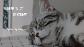 41ac2966a01c921817e57cc9a6bdaace2d811238.jpg@280w_158h_1c_100q.jpg
