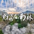 【南林赏樱】2分钟航拍在南京林业大学樱花大道“云赏樱”