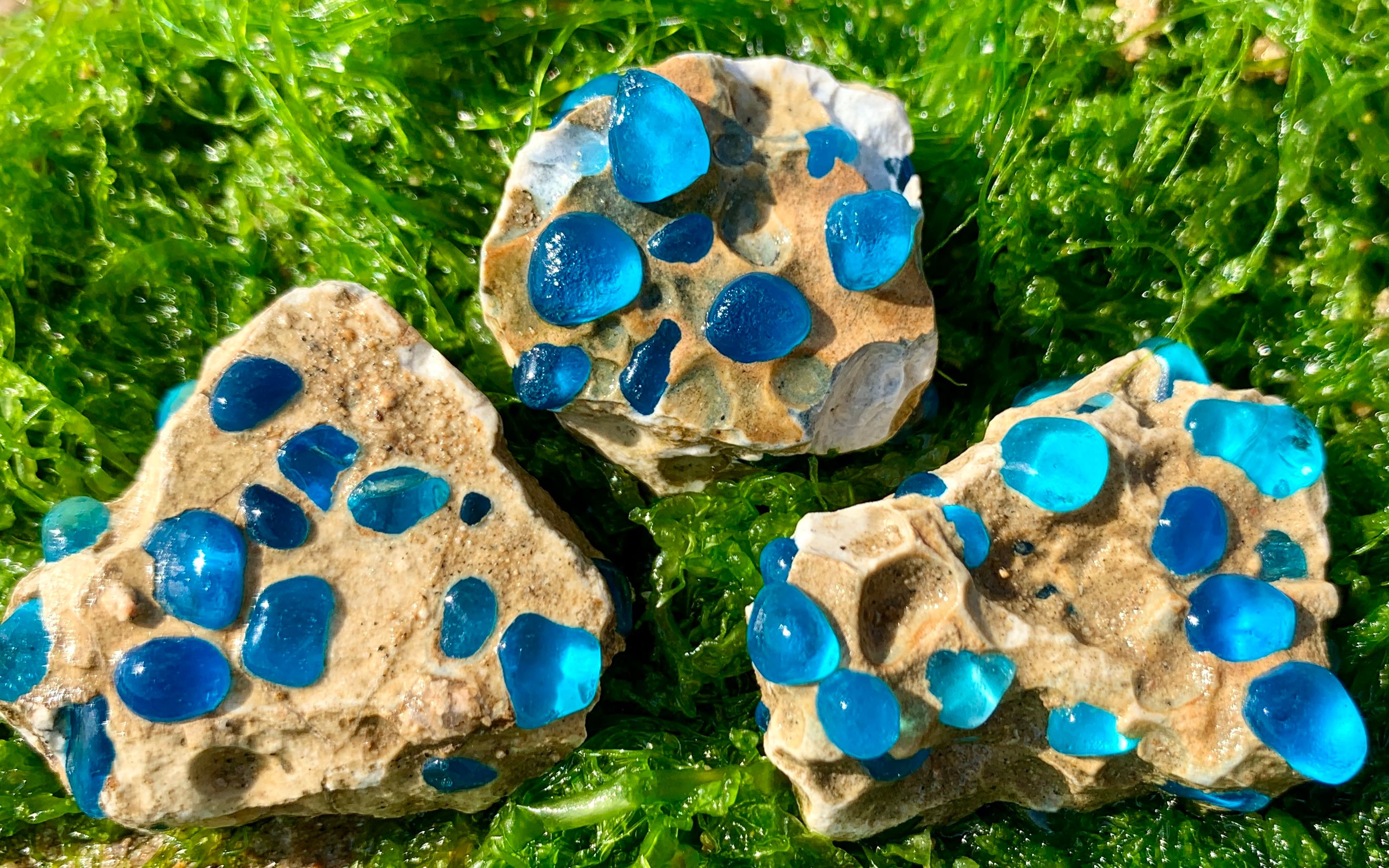 小崔赶海，跟着潮水在排水口旁捡到三块蓝色石头，带回家鉴定一下