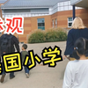 姐姐美国小学已确定，带你看看美国小学什么样，乡村公路很迷人