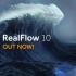 RealFlow 10官方教程