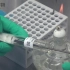 [北纳实验室]霉菌斜面转接培养的方法