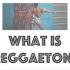 【音乐风格科普】什么是Reggaeton？ What is Reggaetion？