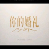 你的婚礼剪辑