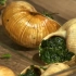 法式蜗牛（French snails）做法