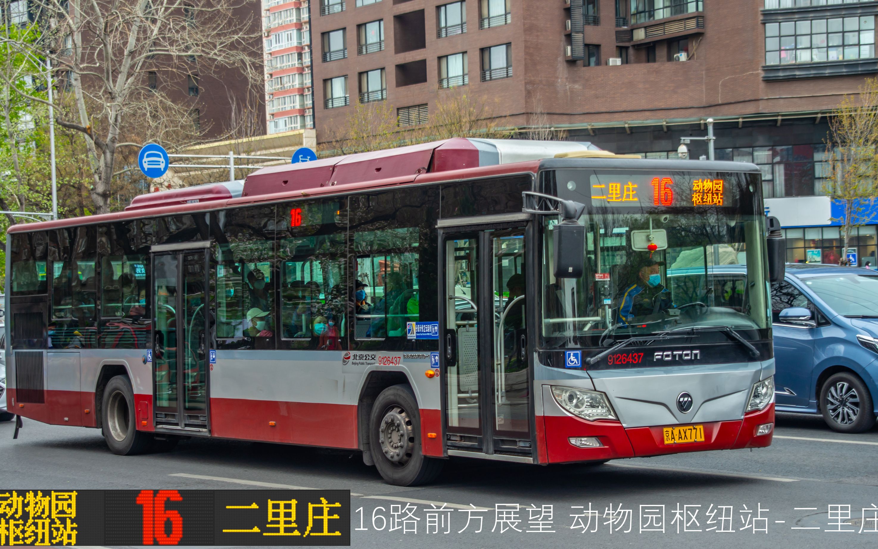 呆萌熊猫公交车现身滨江，上海公交来了颜值担当 - 封面新闻