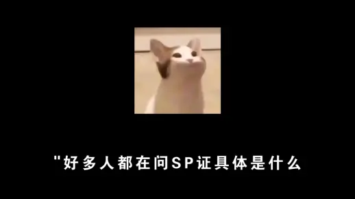 SP版究竟指的是什么？
