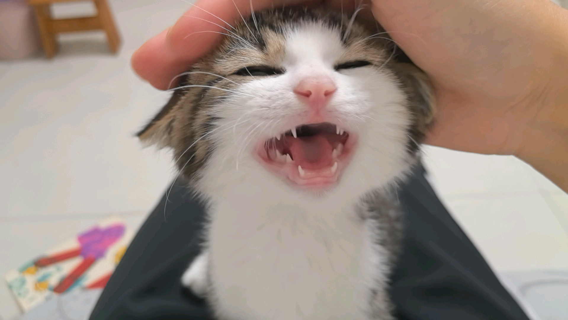 一摸就叫