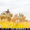 中国杂交水稻在非洲创高产纪录
