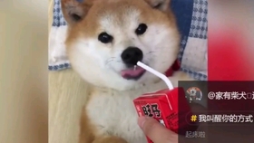 42519b894061e10c68e8eb0c164006fee1492cef.jpg@280w_158h_1c_100q.jpg
