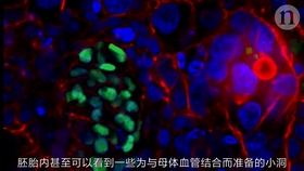 4273e4c24dc2f05b73dc4d048128ece9fd009f68.jpg@280w_158h_1c_100q.jpg