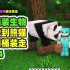 我的世界：桶装生物4，热带雨林找鹦鹉，竹林里面翻熊猫