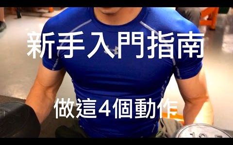 的4个动作|the 4 exercises for the beginner|健身 健美 肌肥大|胸肌