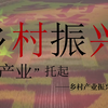 用产业托起乡村振兴：乡村产业振兴案例纪实