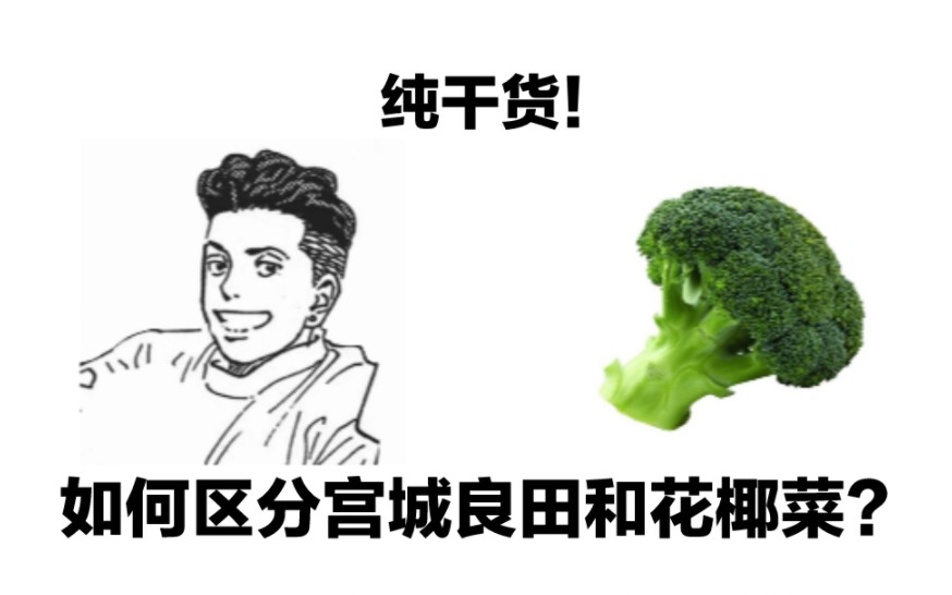 [干货]教你如何分辨宫城良田和花椰菜
