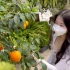 【doodi】去首尔植物园治愈的一天-[vlog]-1