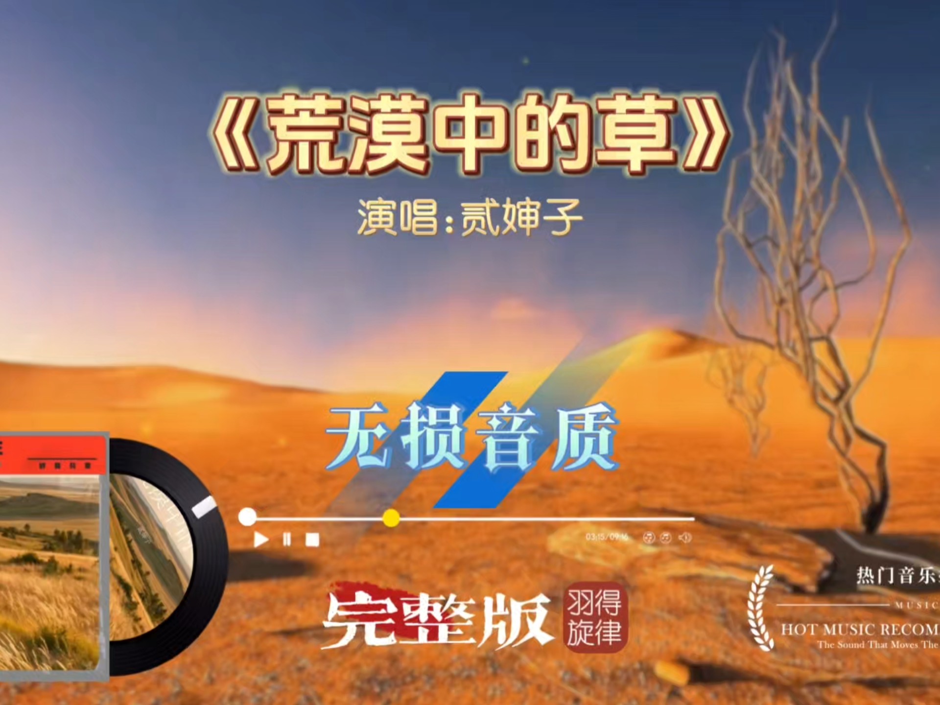 贰婶子歌曲《荒漠中的草》完整版，半生飘摇自己熬，唱出多少人的心酸