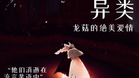 免费观看影子探影短剧，一场视觉与智慧的盛宴，免费观看影子探影短剧，视觉与智慧的双重盛宴