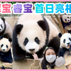 福宝 睿宝 辉宝 爱宝 乐宝 宝家族特别的一天 整整齐齐一起上班 双胞胎姐妹第一天上班 （完整版