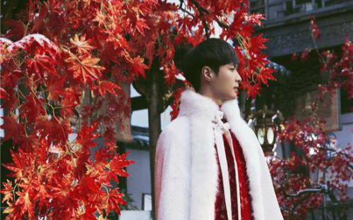 [老九门]二月红张启山丫头混剪 主二月红下载(AV4777638)-哔哩哔哩唧唧-bilibili视频|弹幕在线下载