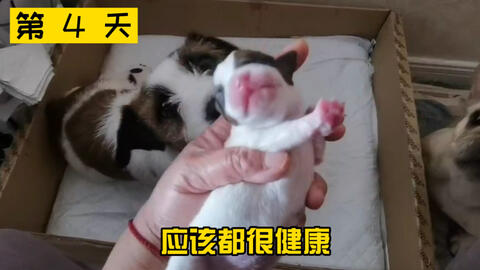 42f717fb820828f8f67b8e977a89fe45930c6756.jpg@480w_270h_1c