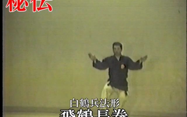 南派少林拳正宗 秘拳 白鶴門食鶴拳 | mariaflorales.com.ar